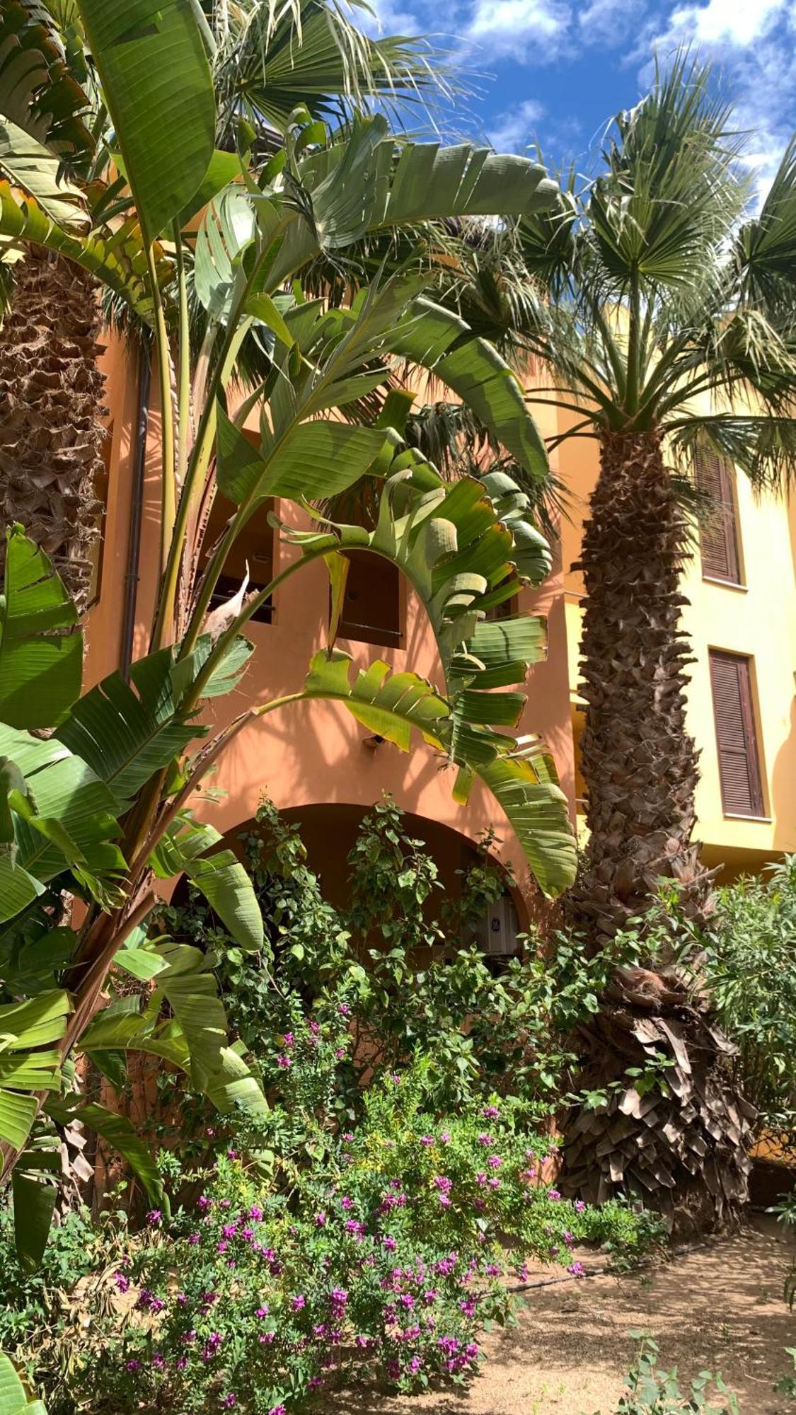 Nest House - Esclusivo Appartamento Marina Di Olbia- Mater Olbia - Beaches - Close To The Airport - Private Parking- Full Comforts - Exterior photo