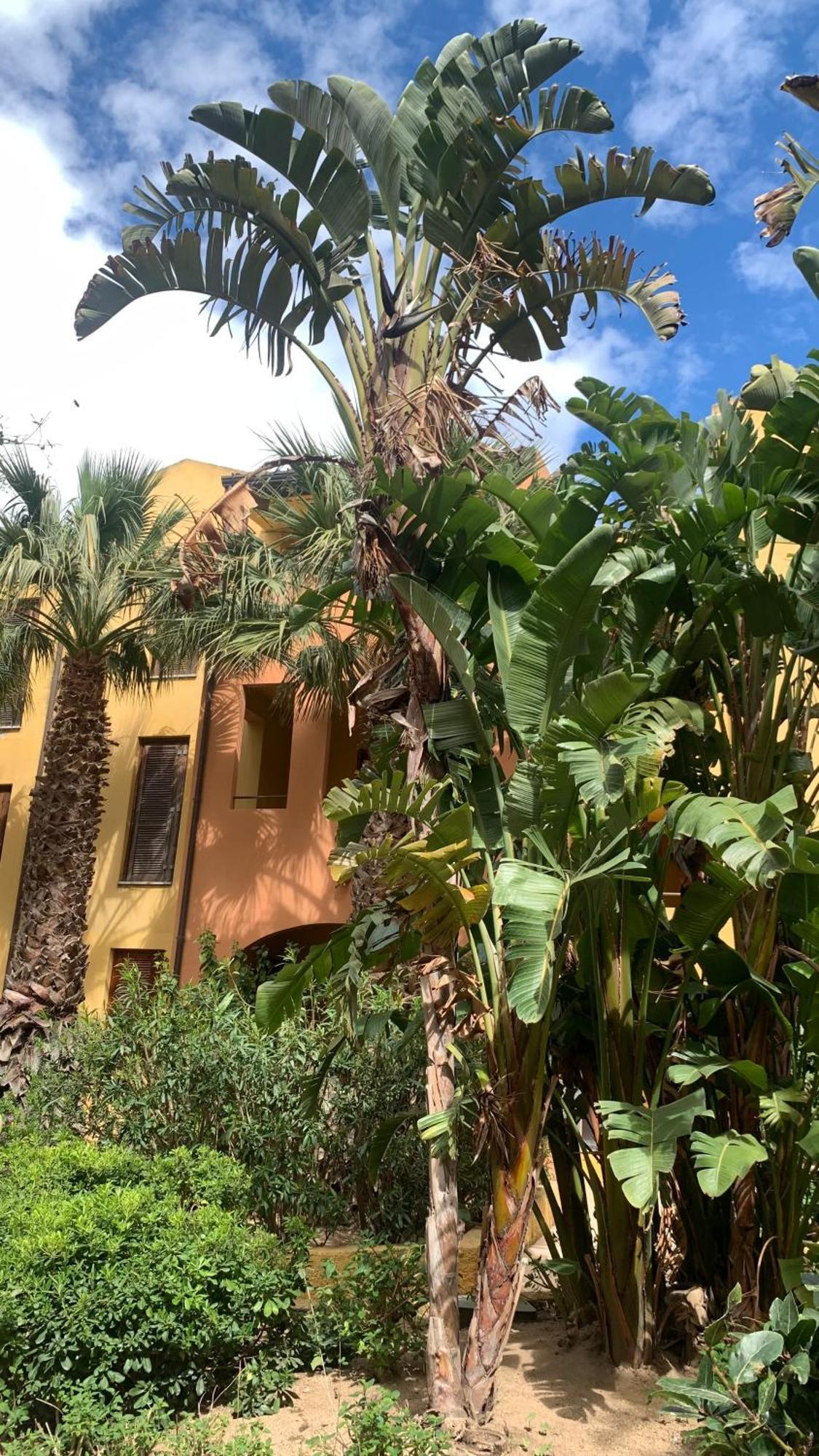 Nest House - Esclusivo Appartamento Marina Di Olbia- Mater Olbia - Beaches - Close To The Airport - Private Parking- Full Comforts - Exterior photo